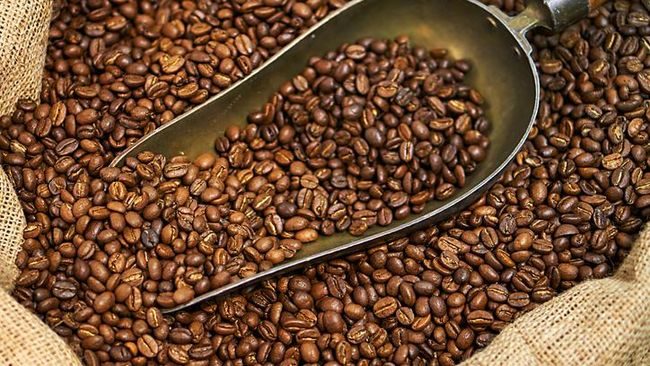 Indonesia Menjadi Salah Satu Negara Produsen Kopi Terbesar